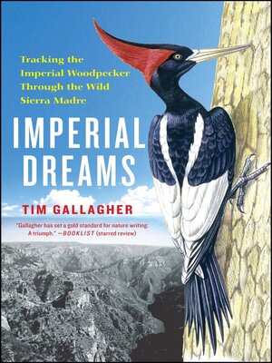 cover image of Imperial Dreams